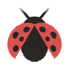 Cute Ladybug Illustration on Transparent Background © MuhammadPanji