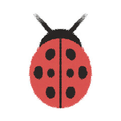 Cute Ladybug Illustration on Transparent Background © MuhammadPanji