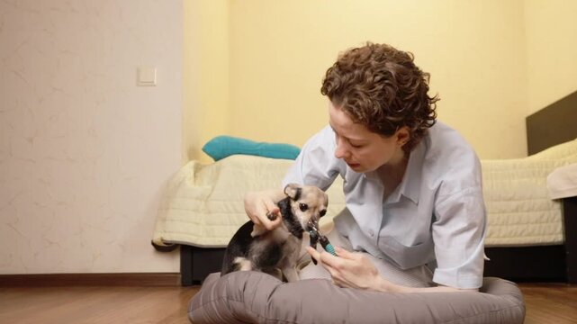 woman trims a small dog's front claws with manual nail clippers while seated on the floor beside a gray pet bed, supporting the raised paw as the dog looks up at her