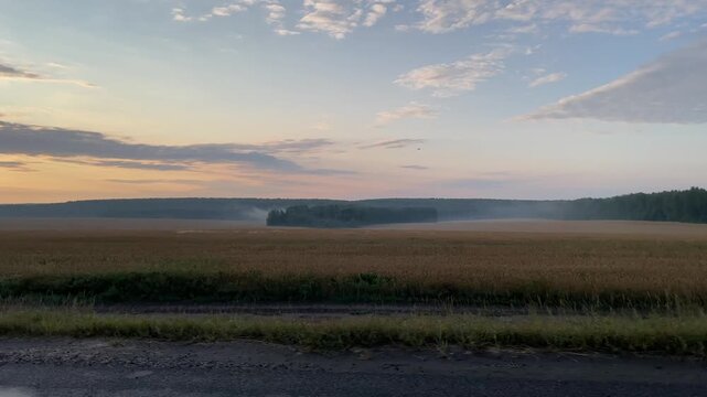 brown cropland, distant woodland and ribbons of evening mist slide past a moving car beneath a pastel sky, expressing rural solitude, open space and an unhurried road trip