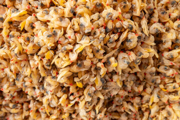 Dried clam meat piled up preserved shellfish seafood © Freer
