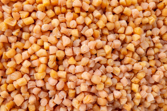 Dried scallops piled densely, premium preserved seafood ingredient