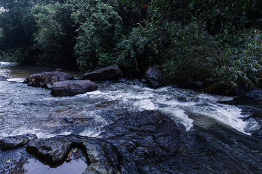 Whitewater Rapids Flowing Between Rocks in Dense Rainforest