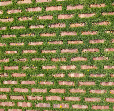 Red brick pattern with green grass tiled floor. Brick, boxed Pattern, Concrete, Crisscross, Formal Garden.