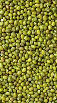 Mung bean seeds for sprouting in a wooden plate spinning. Green Mung beans background wallpaper. Turntable rotating shot. Raw food diet and vegetarianism. Asian cuisine and produce