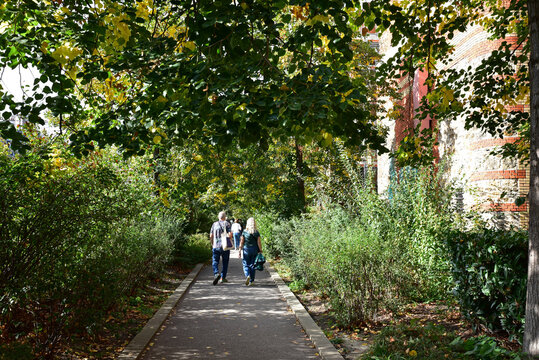 Fl&acirc;ner sous les arbres &agrave; Paris. France	