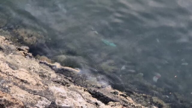 High angle view of plastic waste and garbage on a rocky shore and sea water at the harbor