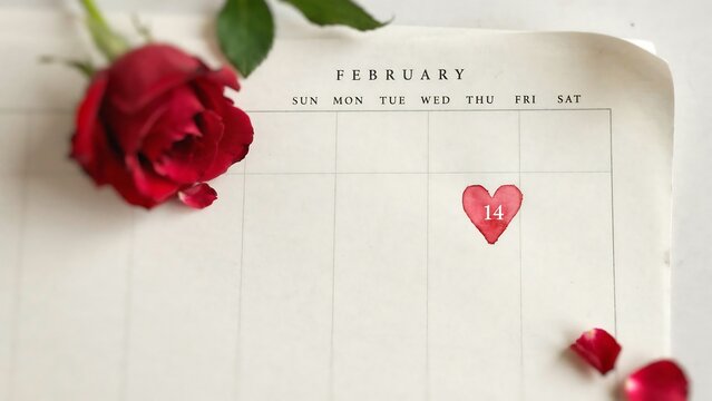February calendar page with a red heart shape on the 14th and a red rose flower on the side on a white background