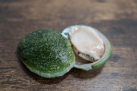 Abalones in a shell