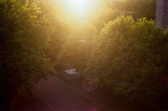 Sun Through Trees
