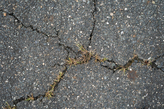 Flaws in America's infrastructure like aging roads parkways and highways with cracks across the asphalt blacktop pavement spreading with plant  and organic matter filling the