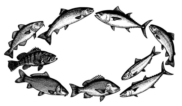 Vintage Engraved Edible Fish Vector Set with Detailed Seafood Line Art