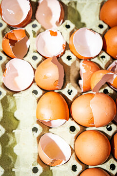 Eggs