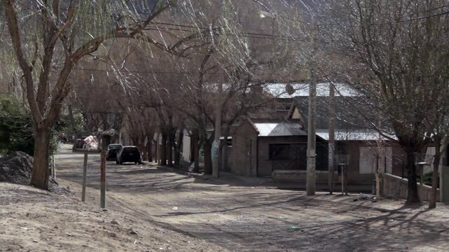 Empty Dirt Street in Small Patagonia Town with Wind Blowing Through Tree Branches 