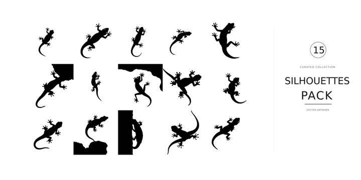 Gecko Climbing a Wall Silhouette with Fine Details and Solid Black Shape, Small Lizard Reptile Crawling Vertically Across a Surface with Distinctive Feet, Curved Tail and Natural Climbing Pose, Clean 