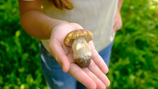 Wild mushrooms in a hand. Selective focus.