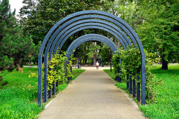 metalowy łuk nad ścieżką, porośnięty pnączami, metalowa pergola z pnączami, łukowata pergola nad parkową aleją, metal arch over the path, covered in climbing plants, arched pergola for climbing plants © kateej