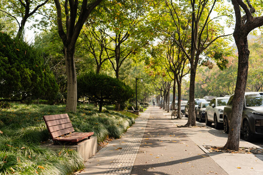 The roadside of the park in the early autumn morning
