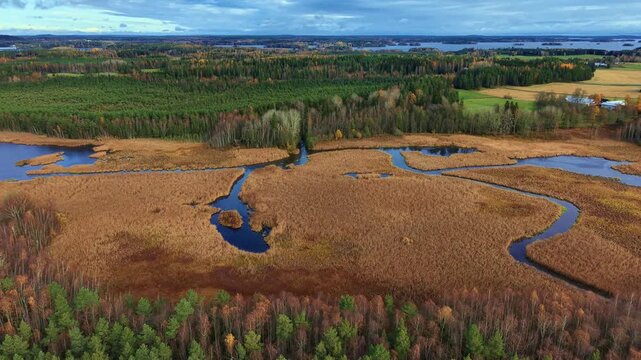Aerial footage of a swamp lake with water channel during autumn in Finland rural countryside area. 