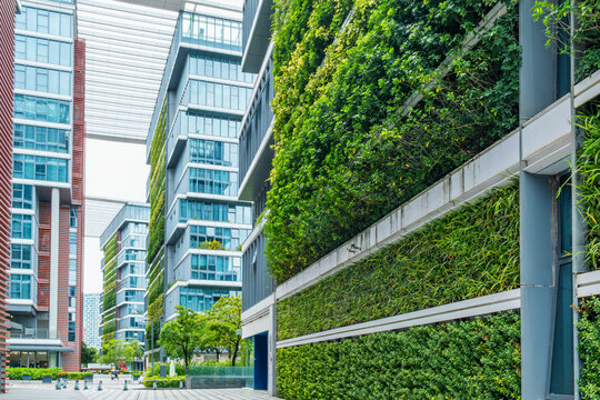 Vertical garden covers facade of modern building along pedestrian area in Shenzhen city, China. Living wall, green architecture, biophilic design, urban greening, sustainable development