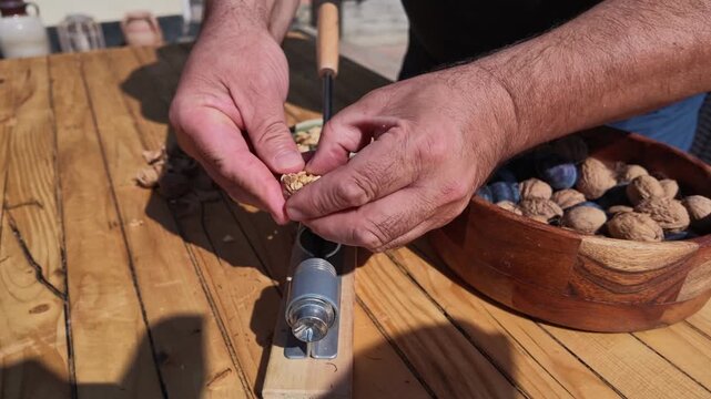 POV Footage of Nutcracker Breaking Walnut Shell Slowly Today