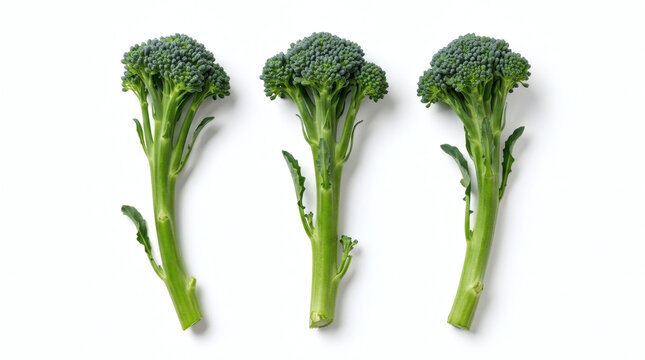 Three Fresh Green Broccolini Stalks Arranged In Parallel Rows On A Clean White Background For Healthy Food Concept