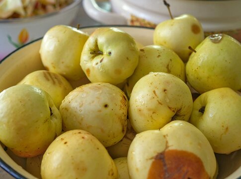  A bowl of freshly washed, imperfect yellow apples ready for baking or applesauce - Close up of organic, homegrown apples with natural blemishes in a rustic bowl