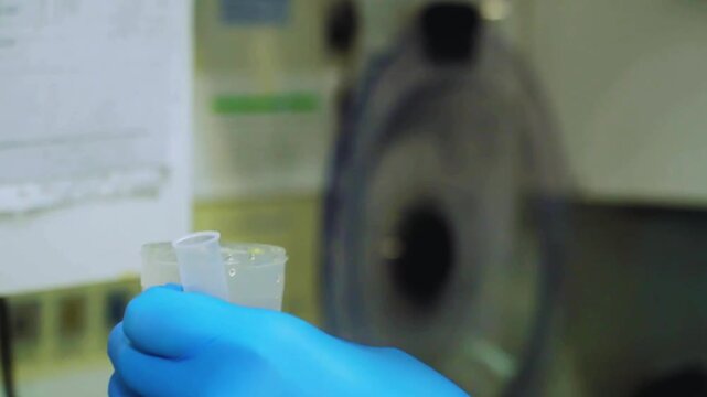Close up of hands in blue nitrile gloves holding a plastic sample cup in a laboratory, handling a specimen container