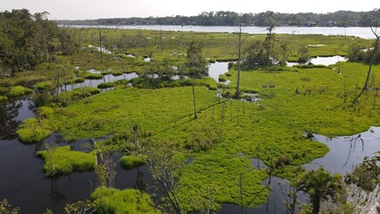 Marsh with lush grass mats and a distant river © Alex
