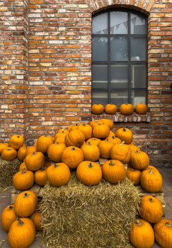 Hokkaido-K&uuml;rbis auch bekannt als Red Kuri Squash, teilweise aufgeschnitten und dekoriert, Bauernmarkt im Herbst,  Deutschland