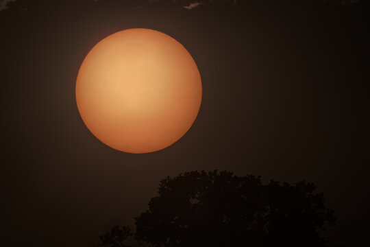 Sun photographed through a neutral density filter above trees.