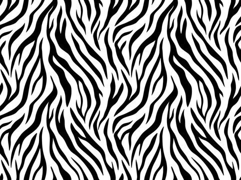 Black white seamless zebra stripe pattern background with copy space