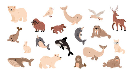 Cute arctic animals collection with polar bear, walrus, narwhal, whale, killer whale, seal, reindeer, muskox and arctic fox isolated on white background © Helga KOV