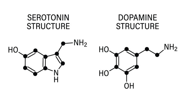 Chemical structures of serotonin and dopamine neurotransmitters