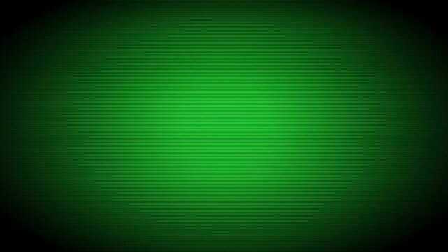 Retro analog CRT monitor green screen static loop with scanlines and light vintage distortion.