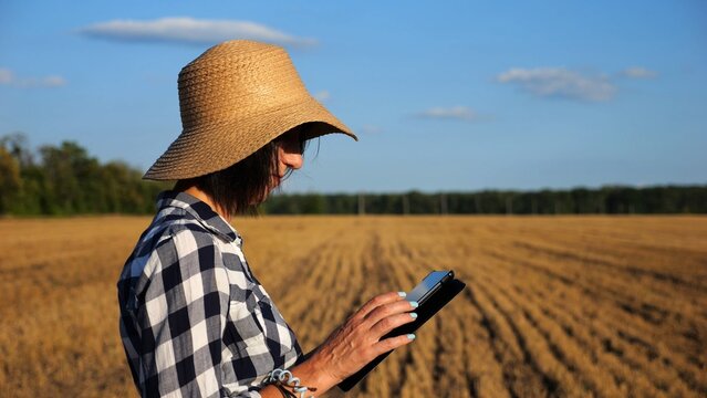 Adult farmer using digital tablet at wheat meadow on sunny day. Female agronomist monitoring harvest at barley field. Beautiful scenic landscape. Concept of agricultural business. Slow motion