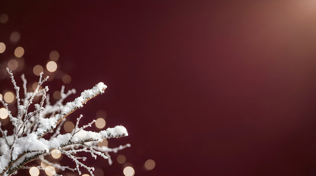 Snow covered tree branches against a dark burgundy festive blurred light with positioned left with glowing bokeh lights christmas background