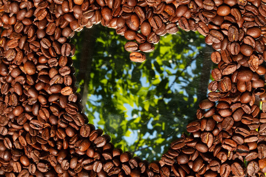 Coffee beans with a heart reflecting green foliage