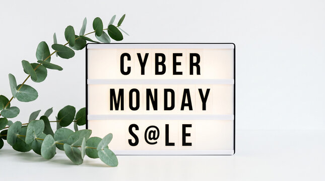 Lightbox with "Cyber Monday Sale" text, next to eucalyptus branch, symbolizing commerce and promotion with natural elements