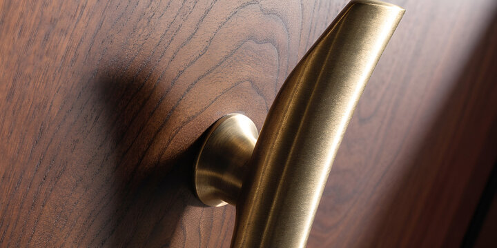 Brushed aged brass door handle on walnut panel with circular backplate