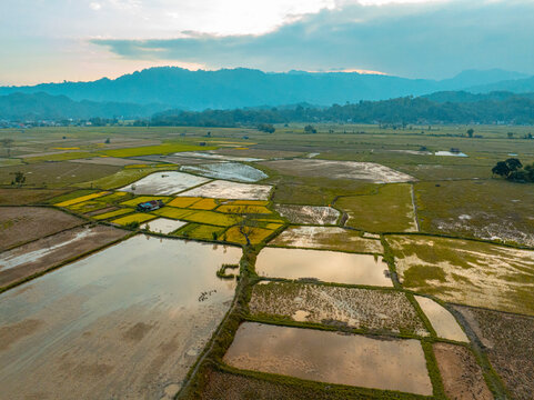Tropical Rice Paddies and Traditional Farmland Near Rantepao Indonesia
