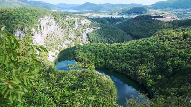 View over the Uvac River canyon surrounded by dense green forest, with clouds and vegetation reflected on the calm water. Scenic Serbian wilderness landscape for travel and nature concepts.