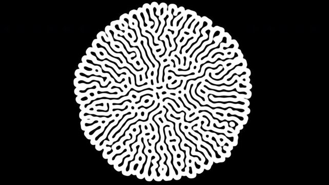 Animated black and white maze pattern filling the screen