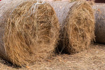 Close-up of large round hay bales on a farm. © tatiana