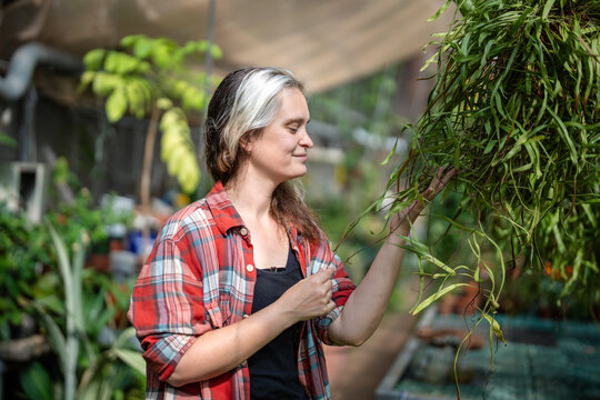 Dreamy happy woman florist plant nursery caretaker holding hanging plant foliage in greenhouse, passionate female botanist enjoys working in orangery, taking care of flower plants it botanical garden.