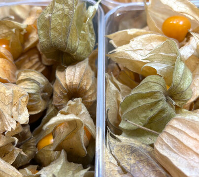 Frische Physalis und Kapstachelbeeren in Verkaufsschalen auf einem Wochenmarkt mit markanten lampionartigen H&uuml;llen.