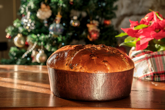 Panettone cake on a wooden table with Christmas tree and poinsettia decor