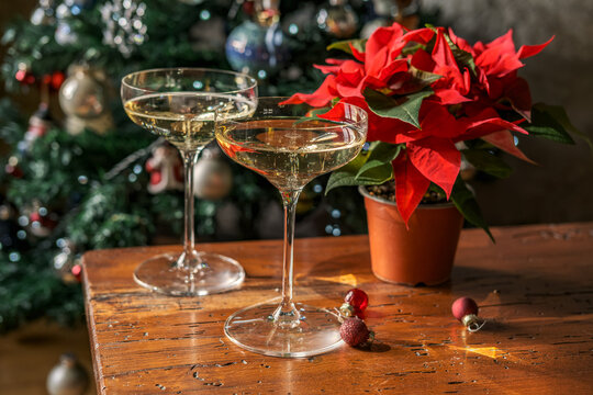 Champagne glasses and poinsettia celebrate Christmas beside a glowing tree on a rustic table