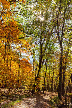 Pedestrian hiking path through colorful Fall leaves at Creve Coeur Memorial Park in Creve Coeur, Missouri