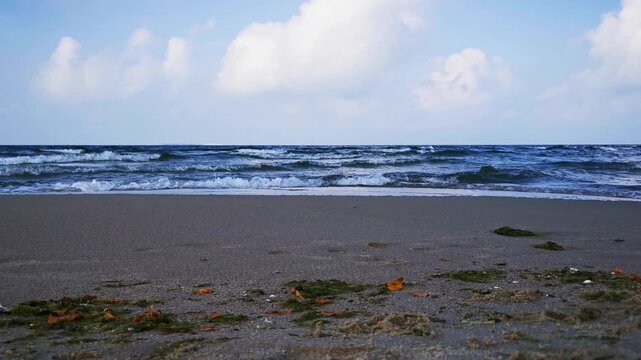 Waves Wash a Sandy Beach Covered with Seaweed